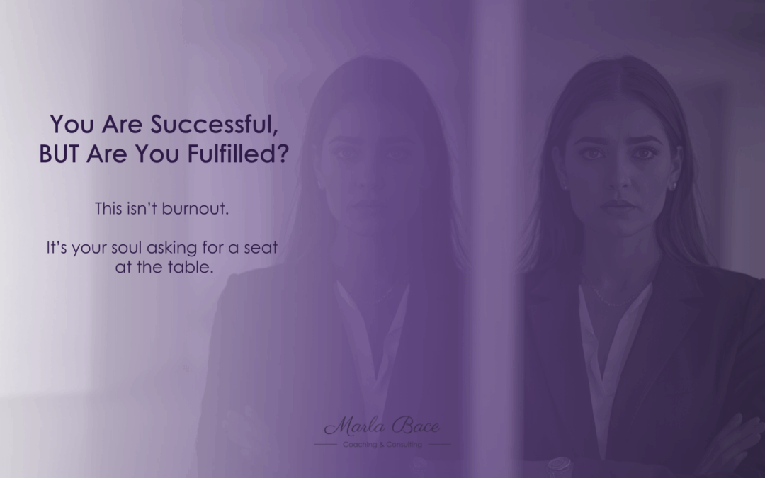You Are Successful, BUT Are You Fulfilled?