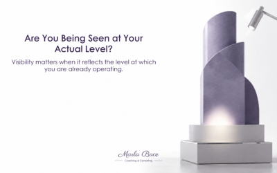 What Does It Mean to Be Seen at the Level You Are Actually Operating At?